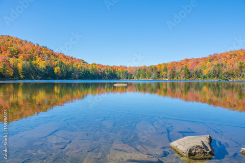 Fotografie, Obraz Fall Foliage Reflection On A Shallow Pond