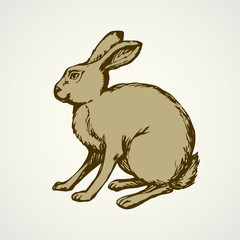 Poster - Hare. Vector drawing