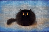 Fototapeta Koty - Fluffy Black Mad Kitten On Blue Background