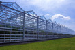 © spozhoga - Greenhouse, sky and grass.