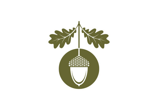 acorn icon or logo in modern line style. vector illustration on a white background.