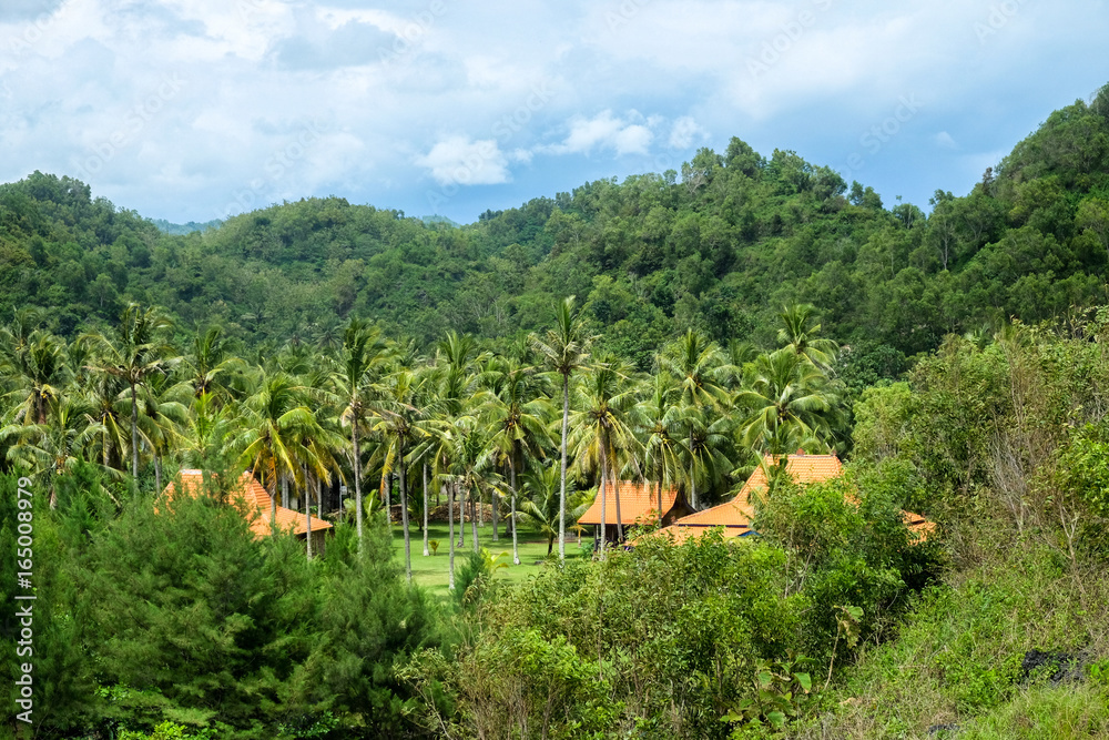 unspoiled tranquility - javanese village in the forest with coconut ...