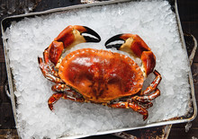 Cooked Crab On Ice