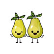 white background of colored crayon silhouette of realistic pair of pear fruits caricature vector illustration
