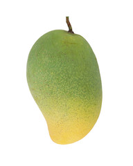 Mango on white background