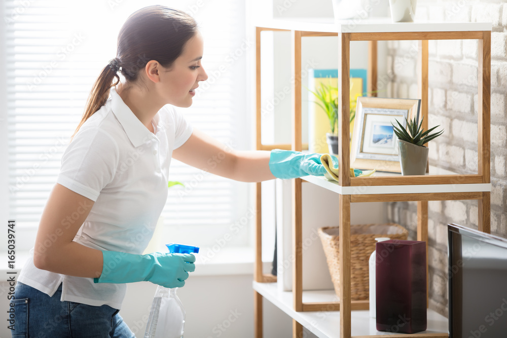 Young Woman Cleaning The Shelf In House - obrazy, fototapety, plakaty 