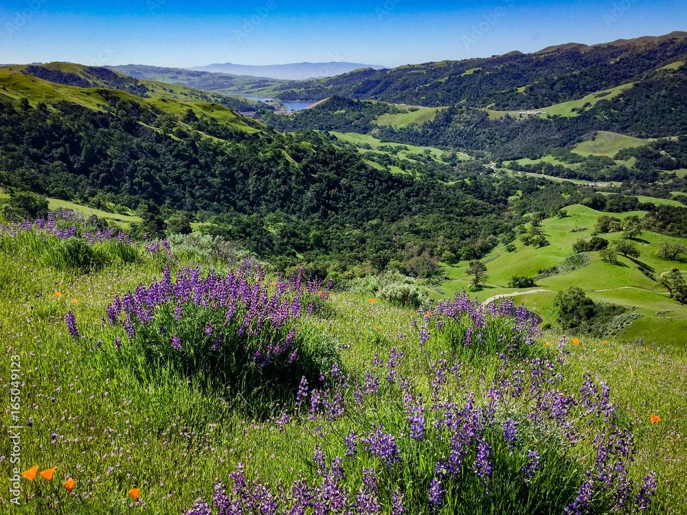 Sunol Regional Wilderness