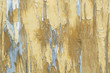 © leksIv - Old wooden board with traces of paint. Backgrounds and textures