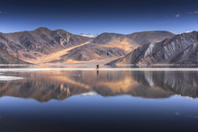 Reflection Of Mountains On Pangong Lake With Blue Sky Background. Leh, Ladakh, India.

