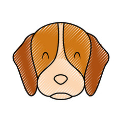 Poster - cute dog mascot icon vector illustration design