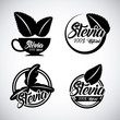 © Gstudio - plant stevia natural sweetener icon vector illustration design graphic