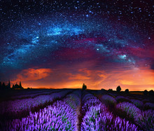 Milky Way Over Lavender Field, France