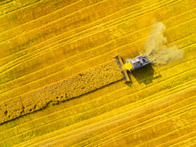 Aerial View Of Combine Harvester. Harvest Of Rapeseed Field. Industrial Background On Agricultural Theme. Biofuel Production From Above. Agriculture And Environment In European Union. 