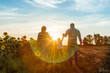 © Сергей Кучугурный - Happy family dad pregnant mom playing in the fresh air on the field near the sunflowers watching the beautiful emotional sunset in the backlight