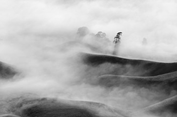 Morning at Te Mata, New Zealand