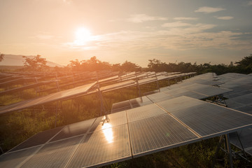 Sticker - Beautiful sunset over Solar Farm