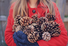 Arms Full Of Pinecones