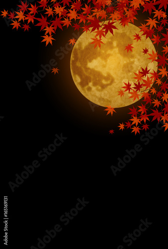 12 352 Background Mon Wall Murals Canvas Prints Stickers Wallsheaven