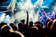 © Melinda Nagy - crowd with raised hands at concert - summer music festival
