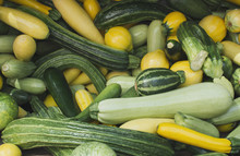 Assorted Fresh Squash