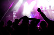 © Melinda Nagy - crowd with raised hands at concert - summer music festival