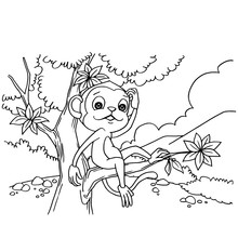Cartoon Monkey Playing In The Forest Coloring Page Vector