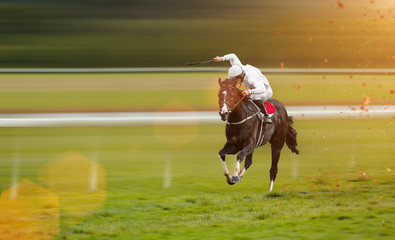 Race horses with jockeys on the home straight