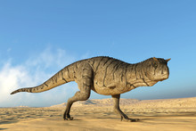 Carnotaurus Walking On Desert