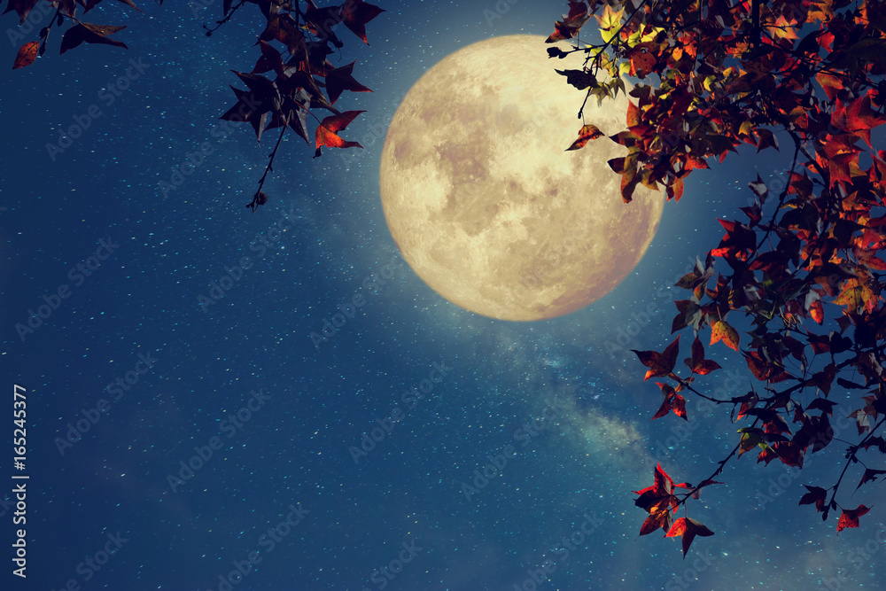 Beautiful autumn fantasy - maple tree in fall season and full moon with milky way star in night skies background. Retro style artwork with vintage color tone - obrazy, fototapety, plakaty 