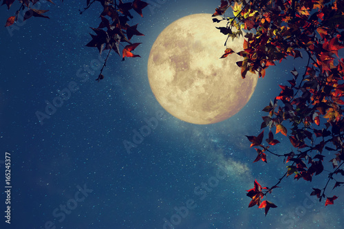 Beautiful Autumn Fantasy Maple Tree In Fall Season And Full Moon With Milky Way Star In Night Skies Background Retro Style Artwork With Vintage Color Tone Stock Foto Adobe Stock