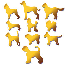 Set Of Silhouettes Cartoon Gold Dog Different Breeds Isolated On White