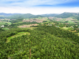 Wall Mural - Aerial view of Beautiful tropical forest, Shot from drone