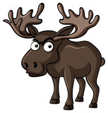 Fototapeta Dinusie - Brown moose with serious face