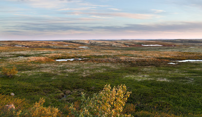 dawn in tundra in the north of russia