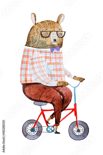 niedzwiedz-kreskowka-przebrany-w-hipster