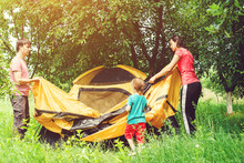 Happy Family Putting Up A Tent Together In Woods. Toned.