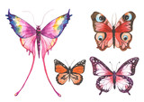 Fototapeta Motyle - Watercolor butterflies illustration