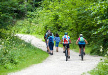 Wanderer Und Mountainbiker Gemeinsam Auf Forststraße