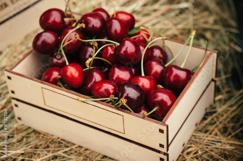 Fotomural Sabrosas bayas de cereza roja
