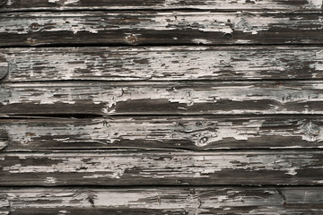 Wall Mural - old wooden backgroud texture