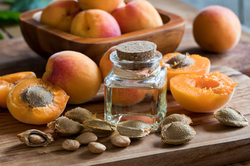 A bottle of apricot kernel oil with apricot kernels and apricots