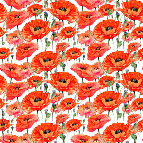 wildflower-maku-kwiat-wzor-w-stylu-przypominajacym-akwarele-pelna-nazwa-zakladu-maki-aquarelle-dziki-kwiat-dla-tla-tekstury