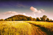 © jiriigaz - Field path leading to the hill to Radobyl hill in protected landscape areas Ceske Stredohori in czech summer landscape at evening