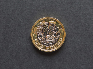 Wall Mural - 1 pound coin, United Kingdom