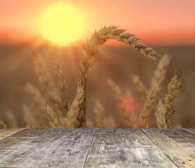 Wall Mural - wood board table in front of field of wheat on sunset light. Ready for product display montages