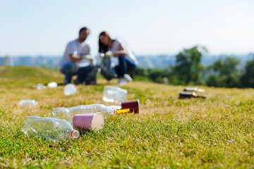 Wall Mural - Dedicated intelligent citizens cleaning the lawn from plastic