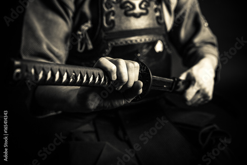 Kendo master standing in traditional armor Canvas Print