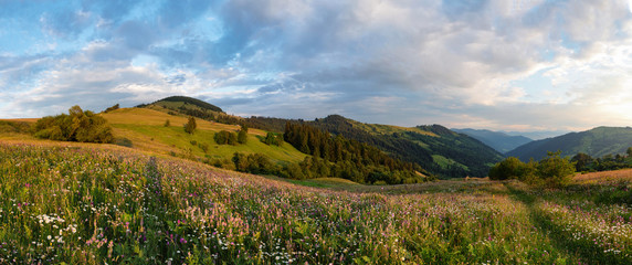  Sunset on the field in the Carpathians