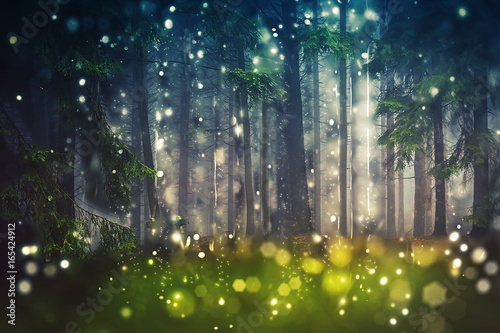 Forest Trees, Wood Glade - Mystic, Bokeh, Lens Flares, Camera Blur - Sunlight Poster Mural XXL
