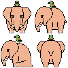 Wall Mural - vector pixel art set elephant